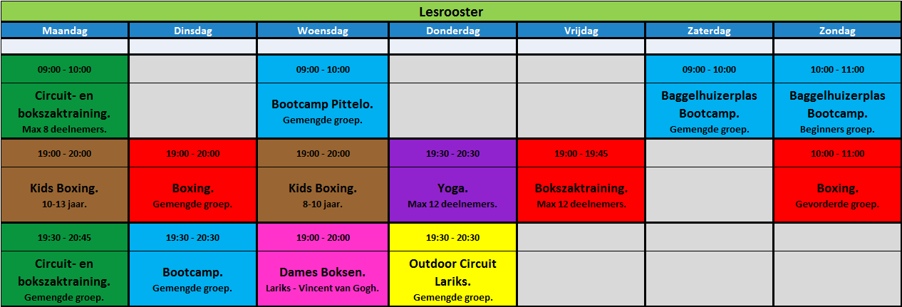 Huidig lesrooster.